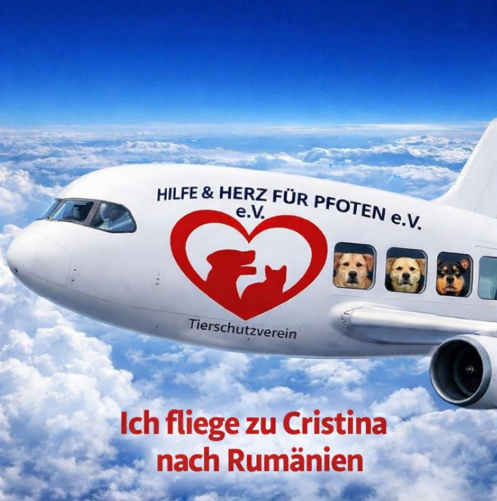 Flieger Rumänien_neu