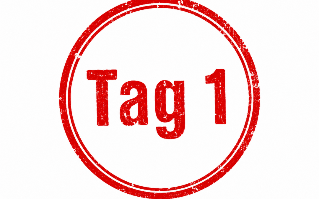 Steffi in Rumänien – Tag 1
