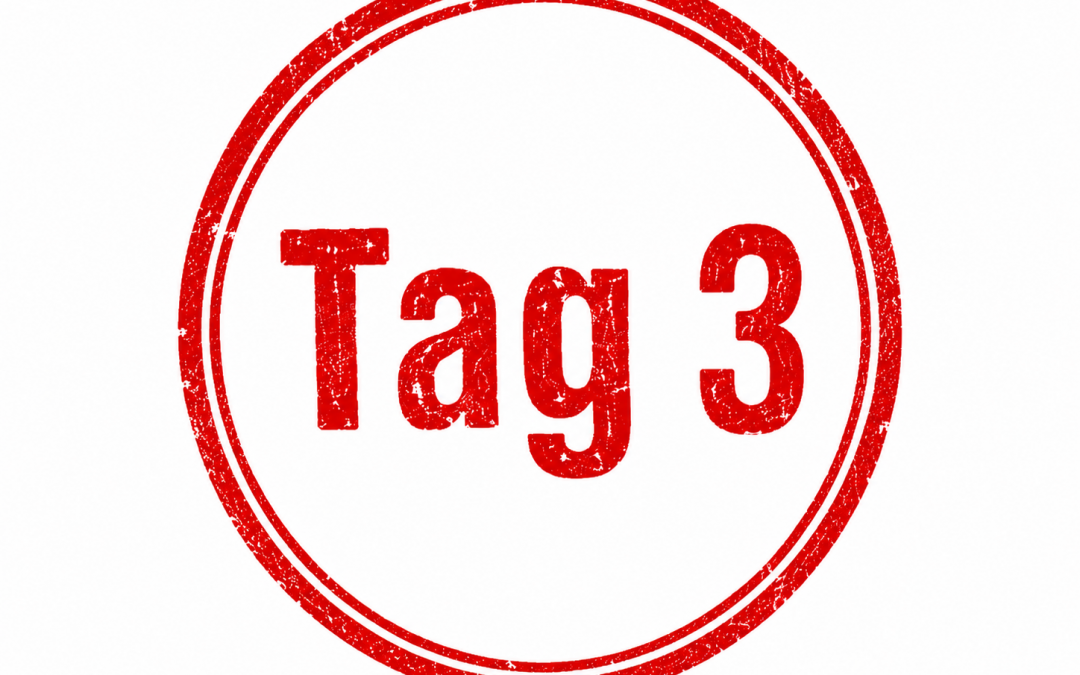 Steffi in Rumänien – Tag 3